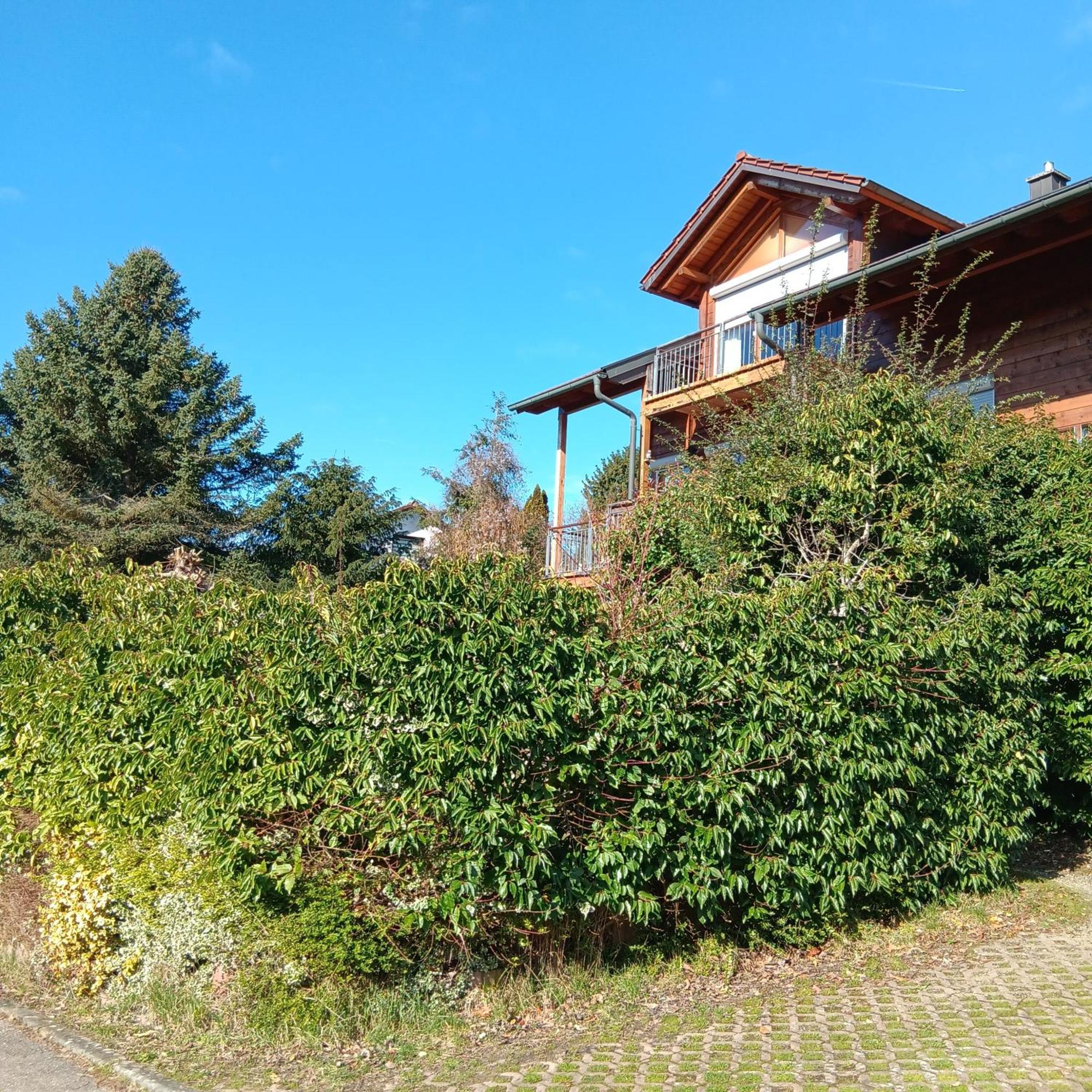 Gartenapartment Auf Der Hoeri In Wangen Енінген Екстер'єр фото